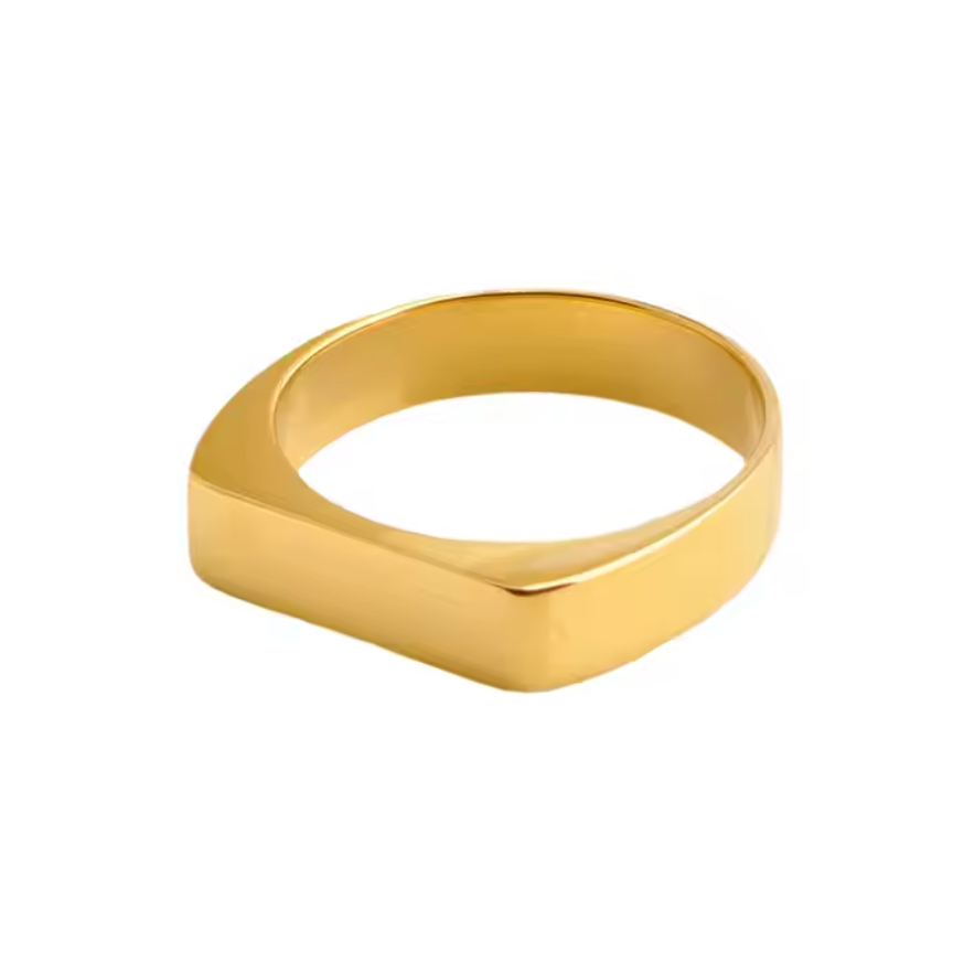 INES Ring